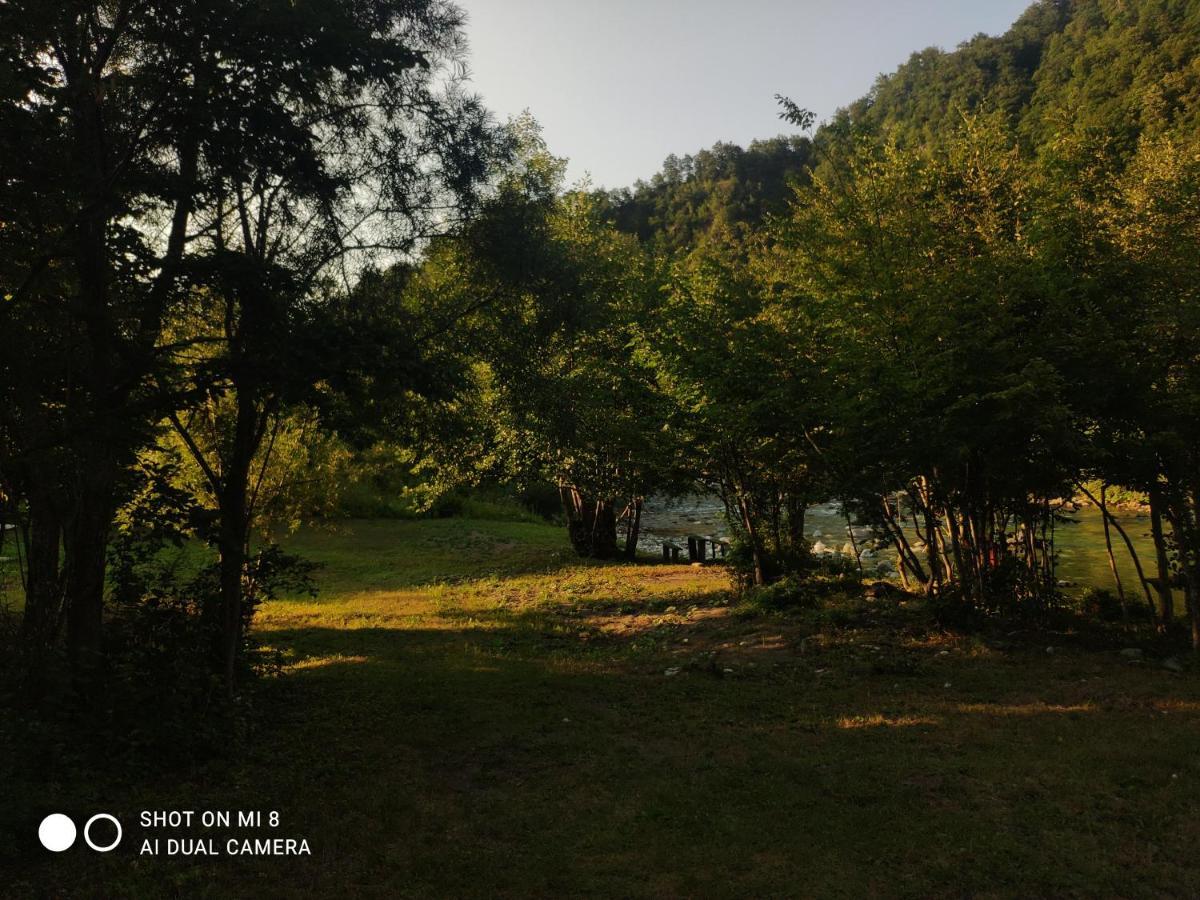 Private Accommodation Kalezic Mojkovac Exterior foto