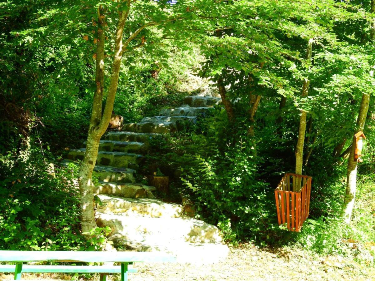 Private Accommodation Kalezic Mojkovac Exterior foto