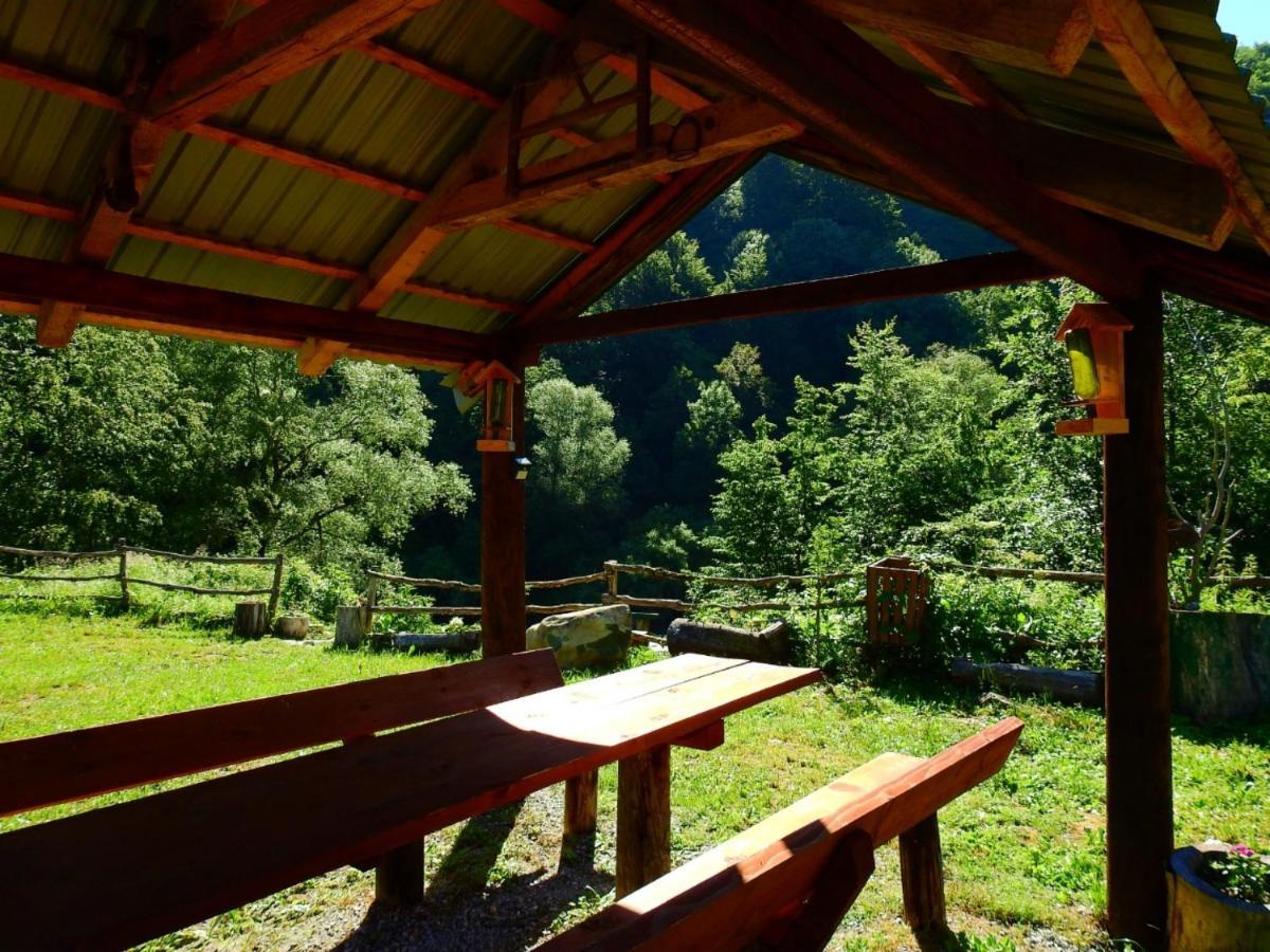 Private Accommodation Kalezic Mojkovac Exterior foto