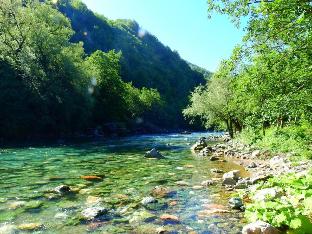 Private Accommodation Kalezic Mojkovac Exterior foto