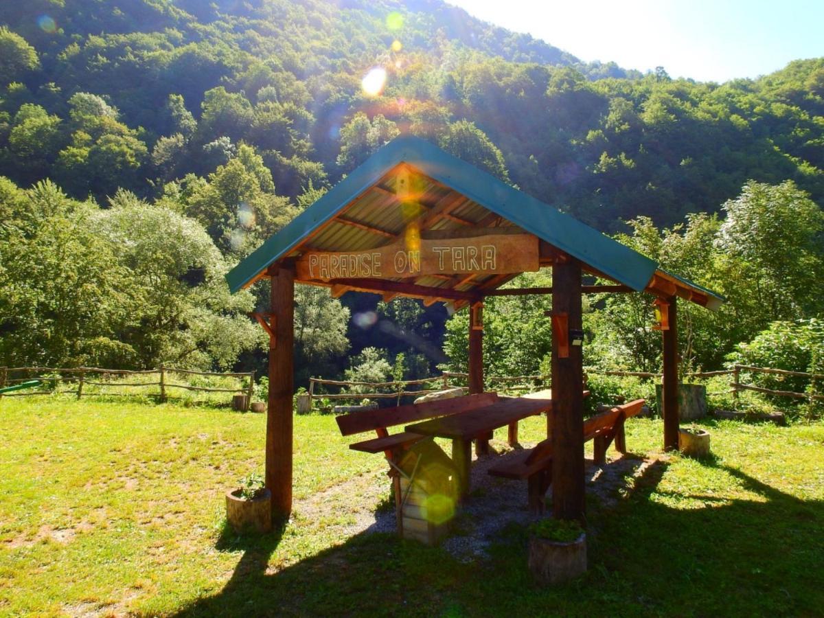 Private Accommodation Kalezic Mojkovac Exterior foto