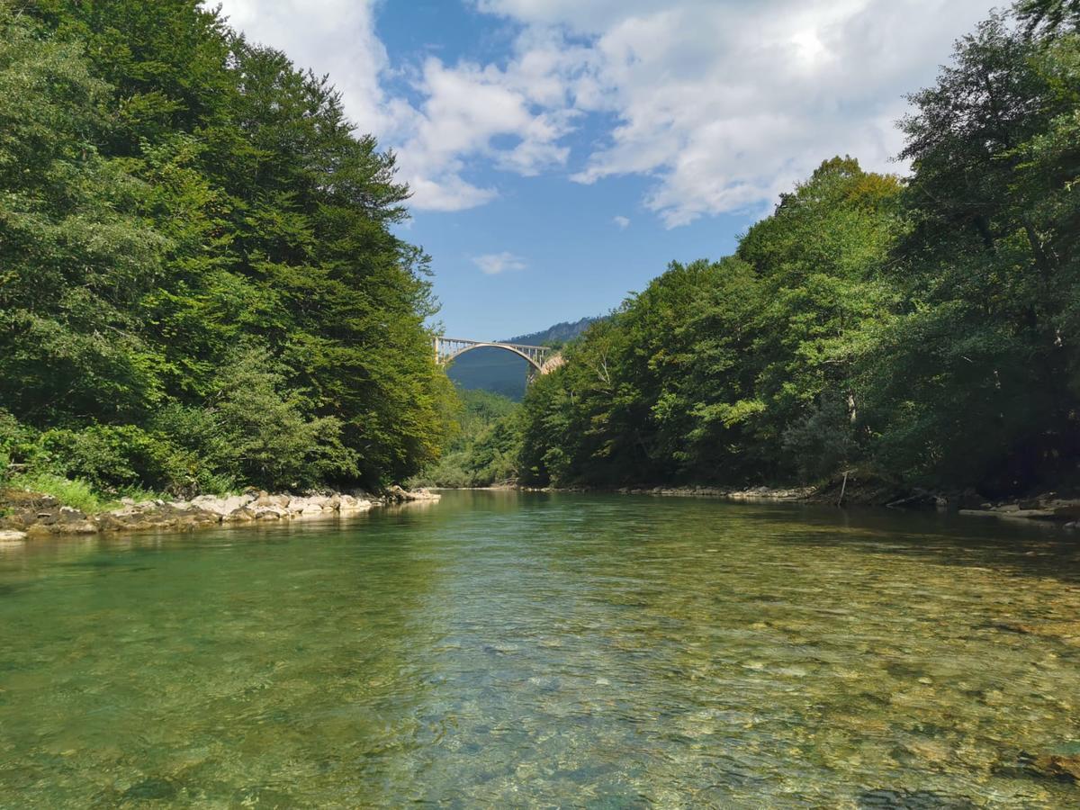 Private Accommodation Kalezic Mojkovac Exterior foto